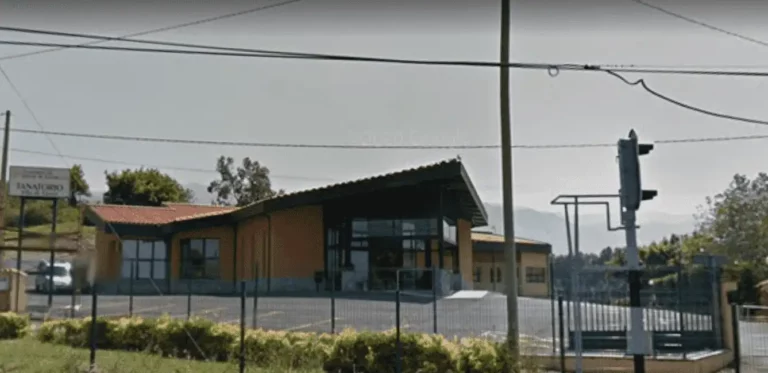 Floristería para Tanatorio Villa de Llanes