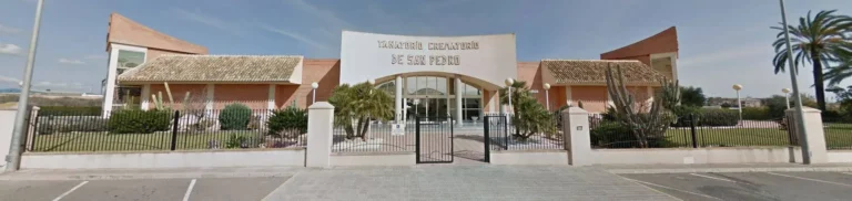 Floristería para Tanatorio San Pedro en San Pedro del Pinatar